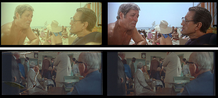 Jaws-Restoration